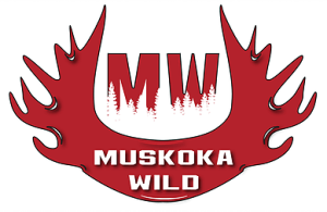 muskokawild