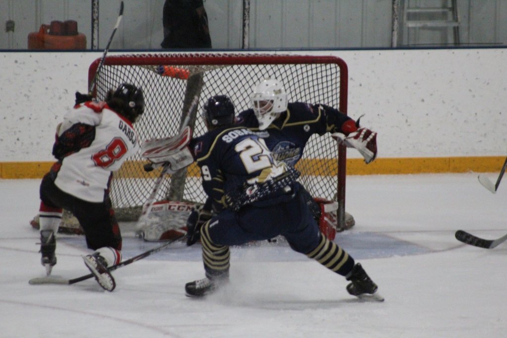 Butte Cobras sweep weekend set with&nbsp;Yellowstone