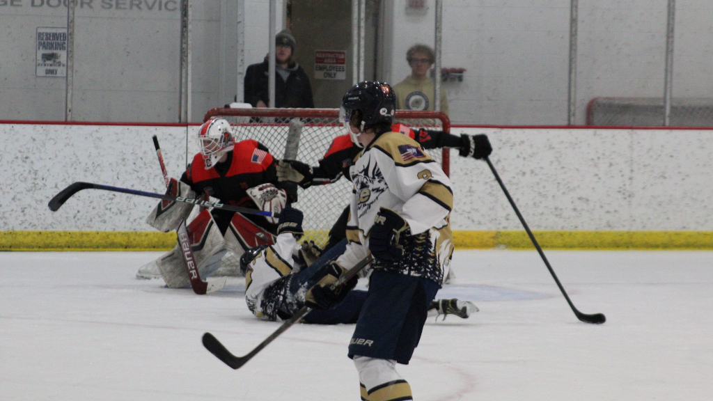 Butte Cobras goalie Caleb Cross making jump to&nbsp;NAHL
